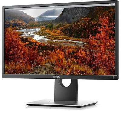 Dell 22 Monitor - P2217H