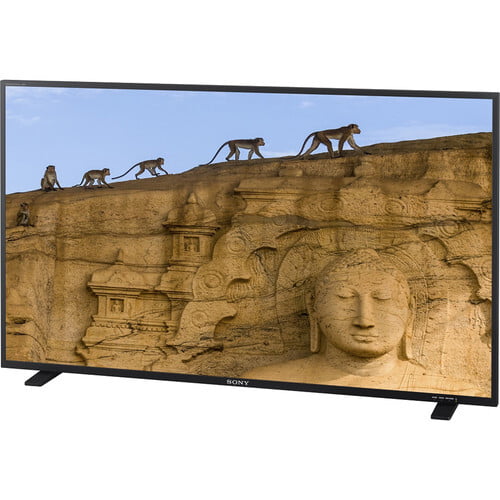 Sony PVM-X550 55" 4K Trimaster EL OLED Monitor Sony PVM-X550 55" 4K Trimaster EL OLED Monitor